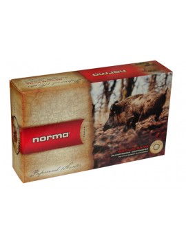 Norma 7mm rem mag 170g Pointe plastique