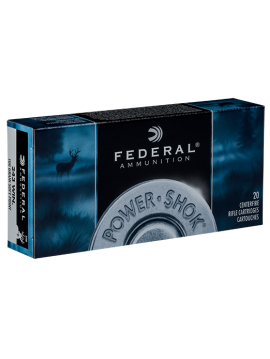 WINCHESTER 243 Win 100grainSoft Point