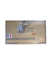 SOLOGNE 35 whelen subsonique 200gr