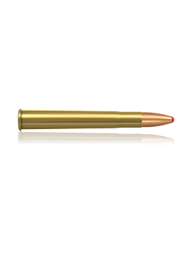 NORMA 9.3X74 PPDC 18.5G