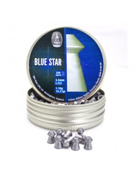 Plombs BSA Blue Star x250 5,5 mm