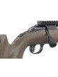 Carabine RUGER American Rimfire 22LR