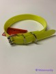 Collier HELEN BAUD DOG ECO POLYURETHANE 450mmx20mm