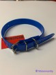 Collier HELEN BAUD DOG ECO POLYURETHANE 450mmx20mm