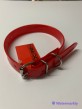 Collier HELEN BAUD DOG ECO POLYURETHANE 450mmx20mm