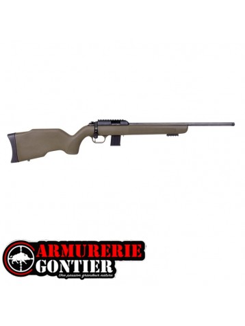 Carabine 22 Lr Diana R-22 Canon Acier www.armureriegontier.fr