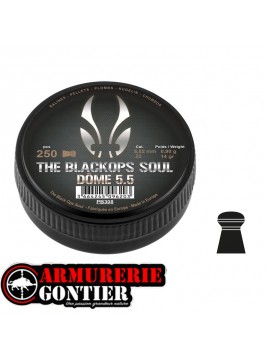 plombs BO DOME 5.5MM 0.90G X250