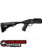 Pack Fusil à Pompe Taurus ST12 Sport Rayures Droites + Point Rouge RS2 www.armureriegontier.fr