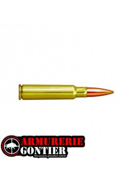 Munitions PPU PARTIZAN  7.55X55 SWISS 174GR 11.3G FMJ X20