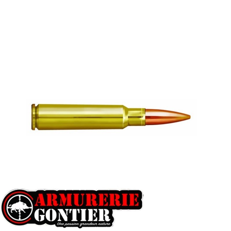 Munitions PPU PARTIZAN  7.55X55 SWISS 174GR 11.3G FMJ X20