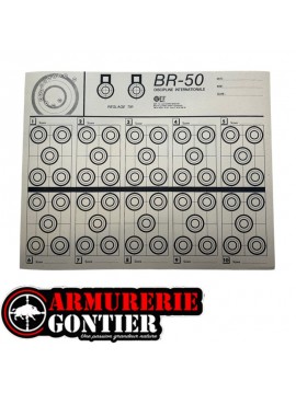 Lot de 10 cibles BENCHREST BR-50 28,5 × 36 CM GEF