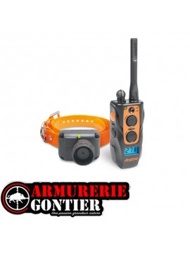 Collier de dressage avec beeper DOGTRA 2600 T&B