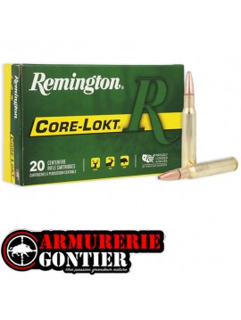 Remington 30-06 220g core lokt sp