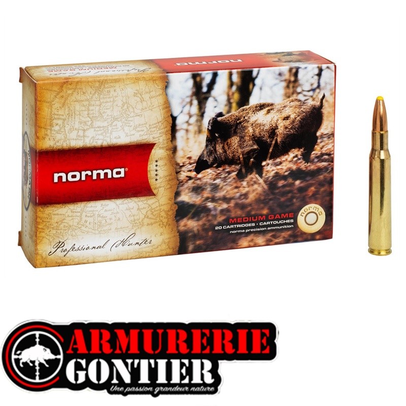 NORMA  9,3x62 18.5g 286grains pointe plastique PPDC