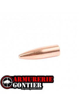 Ogives CAMPRO .308 FCP SPITZER 165 gr – Boîte de 500
