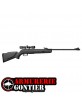 Pack Carabine Gamo Big Cat 1000E Noire 4,5 mm 19,9 J avec Lunette 4x32