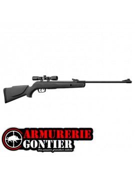 Pack Carabine Gamo Big Cat 1000E Noire 4,5 mm 19,9 J avec Lunette 4x32