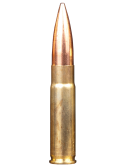 300 AAC BLACKOUT
